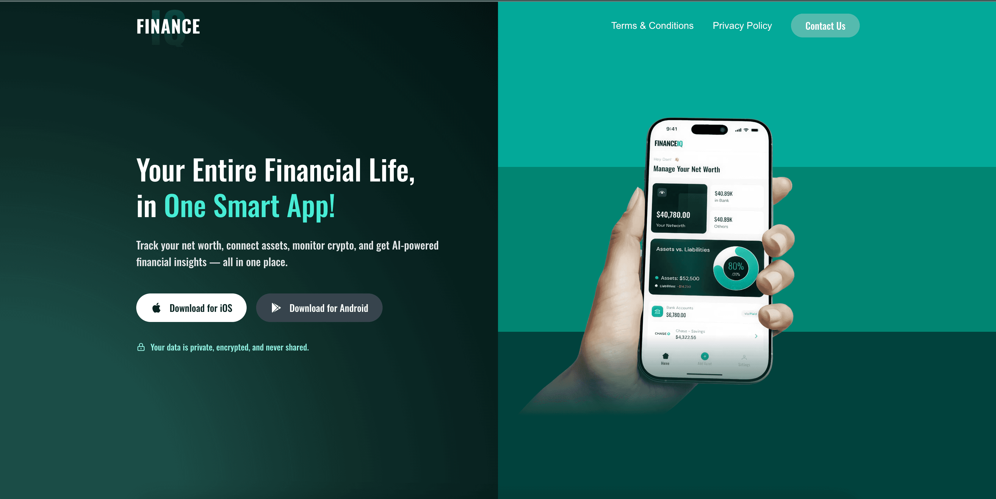 FinanceIQ project preview